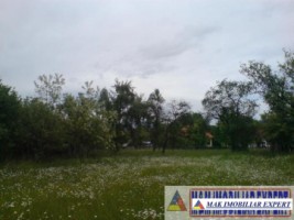 teren-9048-mp-intraextravilan-bughea-de-sus-arges-14