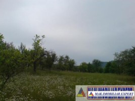 teren-9048-mp-intraextravilan-bughea-de-sus-arges-15