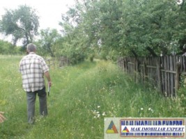 teren-9048-mp-intraextravilan-bughea-de-sus-arges-16
