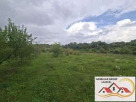 vanzare-teren-campulung-in-suprafata-20606mp-din-care-3200mp-intravilan-pe-teren-se-afla-3-puturi-de-apa-si-sistem-complet-de-irigatii-pret-87418-euro-negociabil-2