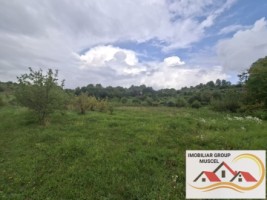 vanzare-teren-campulung-in-suprafata-20606mp-din-care-3200mp-intravilan-pe-teren-se-afla-3-puturi-de-apa-si-sistem-complet-de-irigatii-pret-87418-euro-negociabil