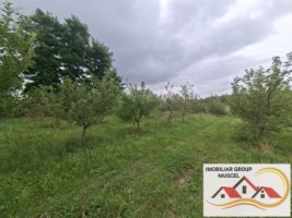 vanzare-teren-campulung-in-suprafata-20606mp-din-care-3200mp-intravilan-pe-teren-se-afla-3-puturi-de-apa-si-sistem-complet-de-irigatii-pret-87418-euro-negociabil-3