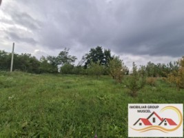 vanzare-teren-campulung-in-suprafata-20606mp-din-care-3200mp-intravilan-pe-teren-se-afla-3-puturi-de-apa-si-sistem-complet-de-irigatii-pret-87418-euro-negociabil-4