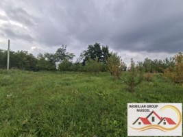 vanzare-teren-campulung-in-suprafata-20606mp-din-care-3200mp-intravilan-pe-teren-se-afla-3-puturi-de-apa-si-sistem-complet-de-irigatii-pret-87418-euro-negociabil-5