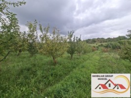 vanzare-teren-campulung-in-suprafata-20606mp-din-care-3200mp-intravilan-pe-teren-se-afla-3-puturi-de-apa-si-sistem-complet-de-irigatii-pret-87418-euro-negociabil-6