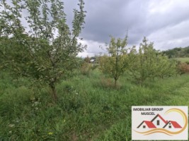 vanzare-teren-campulung-in-suprafata-20606mp-din-care-3200mp-intravilan-pe-teren-se-afla-3-puturi-de-apa-si-sistem-complet-de-irigatii-pret-87418-euro-negociabil-7