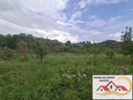 vanzare-teren-campulung-in-suprafata-20606mp-din-care-3200mp-intravilan-pe-teren-se-afla-3-puturi-de-apa-si-sistem-complet-de-irigatii-pret-87418-euro-negociabil-8