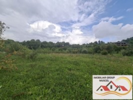 vanzare-teren-campulung-in-suprafata-20606mp-din-care-3200mp-intravilan-pe-teren-se-afla-3-puturi-de-apa-si-sistem-complet-de-irigatii-pret-87418-euro-negociabil-13