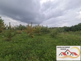 vanzare-teren-campulung-in-suprafata-20606mp-din-care-3200mp-intravilan-pe-teren-se-afla-3-puturi-de-apa-si-sistem-complet-de-irigatii-pret-87418-euro-negociabil-12