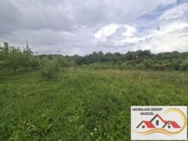 vanzare-teren-campulung-in-suprafata-20606mp-din-care-3200mp-intravilan-pe-teren-se-afla-3-puturi-de-apa-si-sistem-complet-de-irigatii-pret-87418-euro-negociabil-9