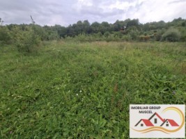vanzare-teren-campulung-in-suprafata-20606mp-din-care-3200mp-intravilan-pe-teren-se-afla-3-puturi-de-apa-si-sistem-complet-de-irigatii-pret-87418-euro-negociabil-10