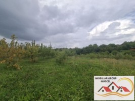 vanzare-teren-campulung-in-suprafata-20606mp-din-care-3200mp-intravilan-pe-teren-se-afla-3-puturi-de-apa-si-sistem-complet-de-irigatii-pret-87418-euro-negociabil-15