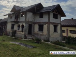 casa-la-rosu-4-cam-teren-5000-mp-pietrosani-domnesti-arges