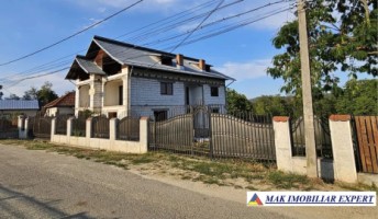 vand-vila-8-camere-teren-2300-mp-retevoiesti-domnesti-arges-1