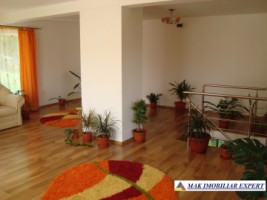 vila-6-camere-teren-3000-mp-de-vanzare-domnesti-arges-2