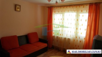 vila-6-camere-teren-3000-mp-de-vanzare-domnesti-arges-5