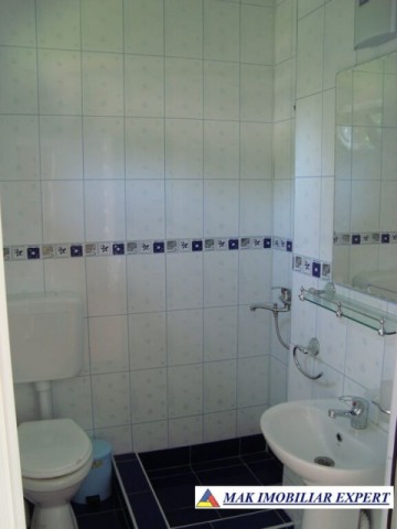 vila-6-camere-teren-3000-mp-de-vanzare-domnesti-arges-16