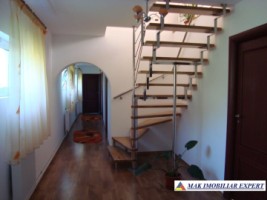 vila-6-camere-teren-3000-mp-de-vanzare-domnesti-arges-19