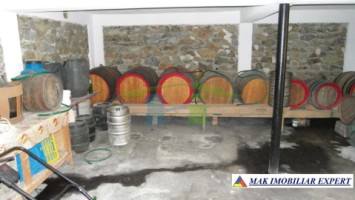 vila-6-camere-teren-3000-mp-de-vanzare-domnesti-arges-20