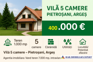 vanzare-vila-pietrosani-domnesti-arges