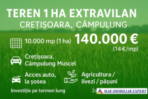 teren-1-ha-extravilan-cretisoara-campulung-muscel-arges