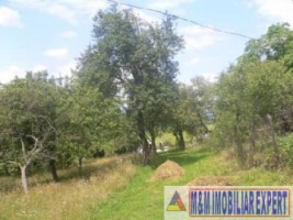 teren-7000-mp-extravilan-v-barbusii-campulung-muscel-arges