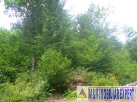 teren-7000-mp-extravilan-v-barbusii-campulung-muscel-arges-2