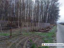 padure-si-parc-de-distractii-10-ha-in-priboieni-arges