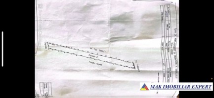 padure-5-ha-fond-forestier-in-bradut-covasna-4