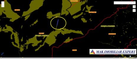 padure-5-ha-fond-forestier-in-bradut-covasna-2