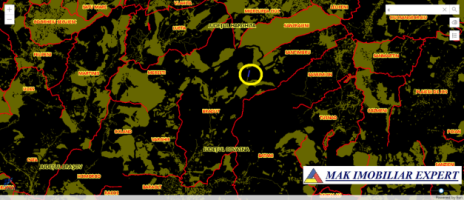 padure-5-ha-fond-forestier-in-bradut-covasna-1