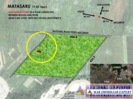 teren-145-ha-conacul-mihalache-in-matasaru-dambovita