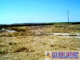 teren-145-ha-conacul-mihalache-in-matasaru-dambovita-6