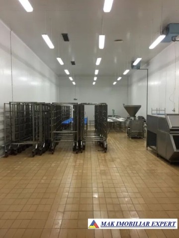 sp-com-25-ha-constructii-3837-mp-schitu-golesti-arges-1