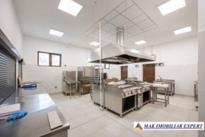 sala-evenimente-crama-1200-mp-teren-148-ha-12-km-campulung-7