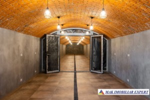 sala-evenimente-crama-1200-mp-teren-148-ha-12-km-campulung-5