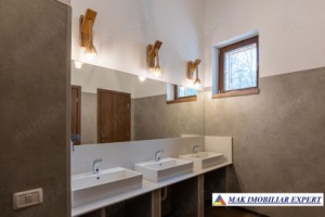 sala-evenimente-crama-1200-mp-teren-148-ha-12-km-campulung-8