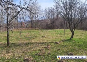 teren-7200-mp-intravilan-cu-casuta-de-demolat-boteni-arges