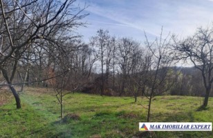 teren-7200-mp-intravilan-cu-casuta-de-demolat-boteni-arges-2