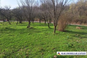 teren-7200-mp-intravilan-cu-casuta-de-demolat-boteni-arges-4