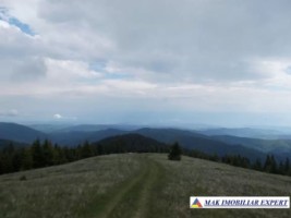 gol-alpin-37-ha-muntele-gol-albestii-de-muscel-arges-3