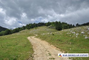 gol-alpin-37-ha-muntele-gol-albestii-de-muscel-arges-2