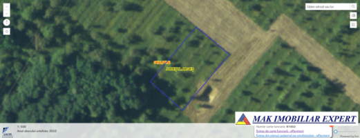 vand-teren-1200-mp-extravilan-stalpeni-arges-1