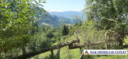 vand-teren-500-mp-in-podul-dambovitei-dambovicioara-arges-3