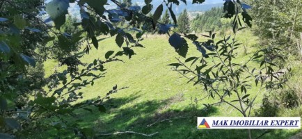 vand-teren-500-mp-in-podul-dambovitei-dambovicioara-arges-4