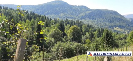 vand-teren-500-mp-in-podul-dambovitei-dambovicioara-arges-5