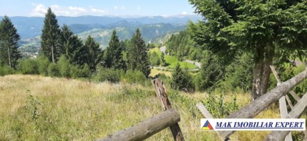 vand-teren-500-mp-in-podul-dambovitei-dambovicioara-arges-6