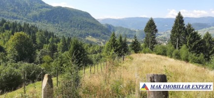 vand-teren-500-mp-in-podul-dambovitei-dambovicioara-arges-7