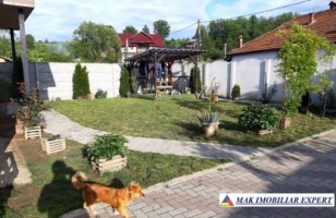 vila-5-camere-de-vanzare-cu-teren-800-mp-in-stalpeni-arges-10