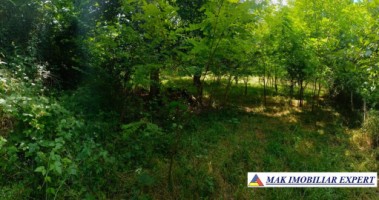 vand-teren-1400-mp-intravilan-stalpeni-arges-1